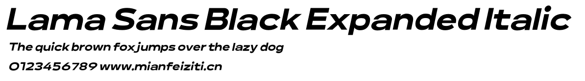 Lama Sans Black Expanded Italic
